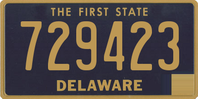 DE license plate 729423