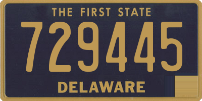 DE license plate 729445
