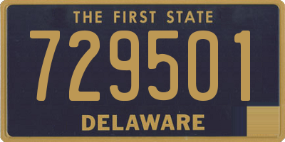 DE license plate 729501
