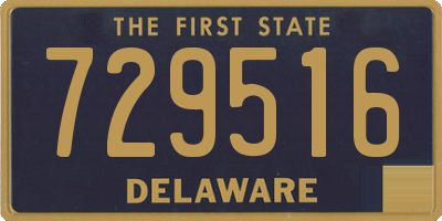 DE license plate 729516