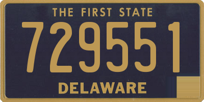 DE license plate 729551
