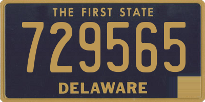 DE license plate 729565
