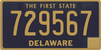 DE license plate 729567