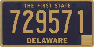 DE license plate 729571