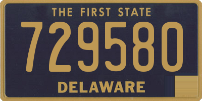 DE license plate 729580