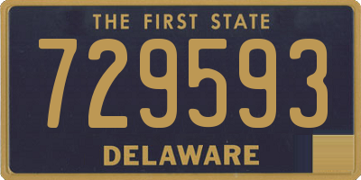 DE license plate 729593