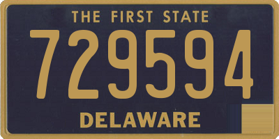 DE license plate 729594