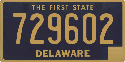 DE license plate 729602