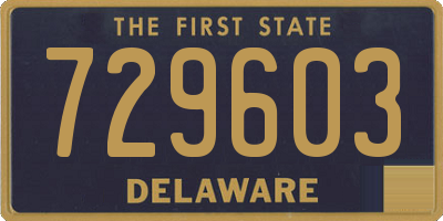 DE license plate 729603