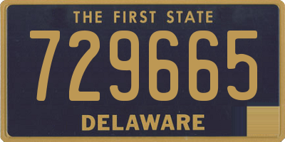 DE license plate 729665