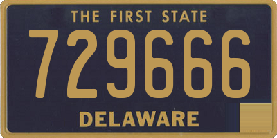 DE license plate 729666