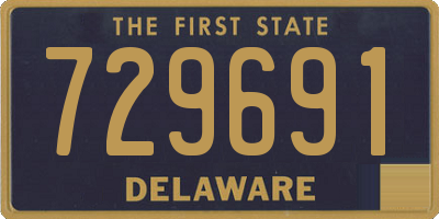 DE license plate 729691