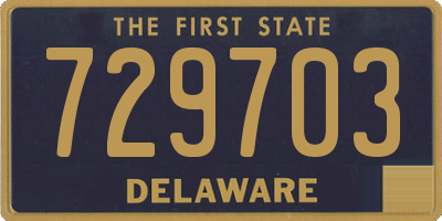 DE license plate 729703