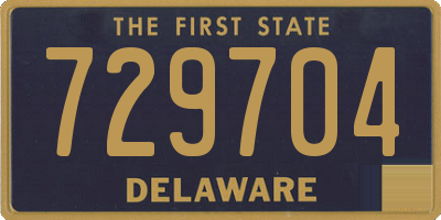 DE license plate 729704