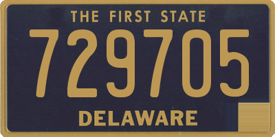 DE license plate 729705