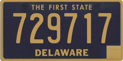 DE license plate 729717