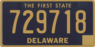 DE license plate 729718