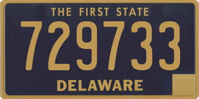DE license plate 729733