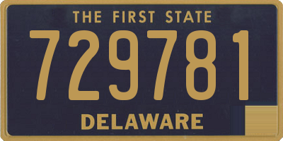 DE license plate 729781