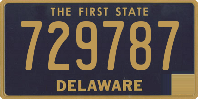 DE license plate 729787