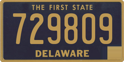 DE license plate 729809