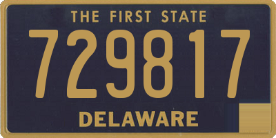 DE license plate 729817