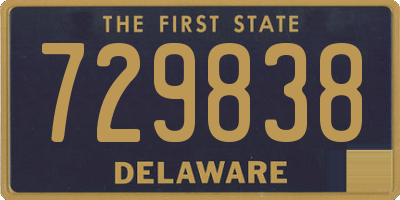 DE license plate 729838