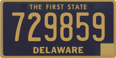 DE license plate 729859