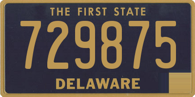DE license plate 729875