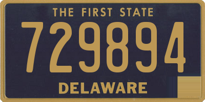DE license plate 729894