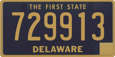 DE license plate 729913