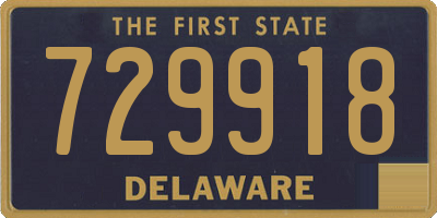 DE license plate 729918