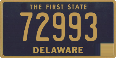 DE license plate 72993