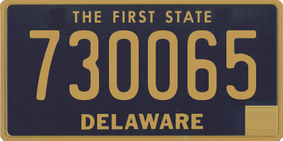 DE license plate 730065