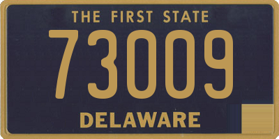 DE license plate 73009