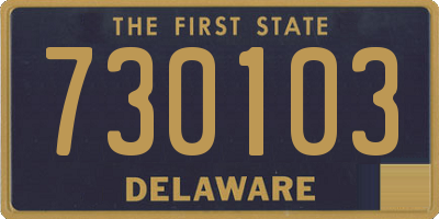 DE license plate 730103