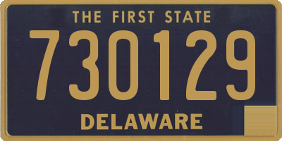 DE license plate 730129