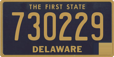 DE license plate 730229