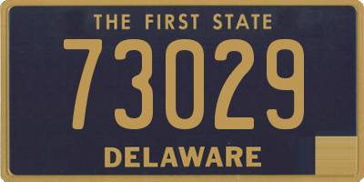 DE license plate 73029