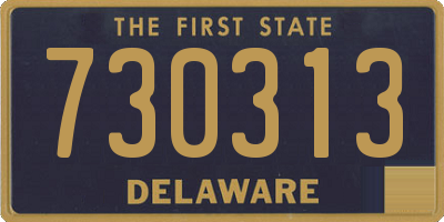 DE license plate 730313
