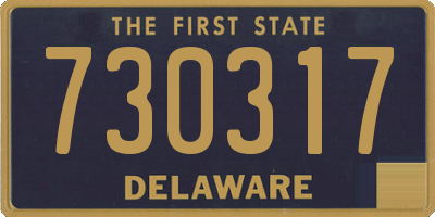 DE license plate 730317
