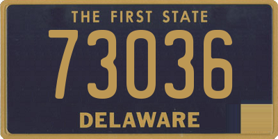 DE license plate 73036