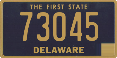 DE license plate 73045