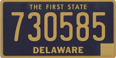 DE license plate 730585