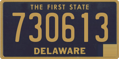 DE license plate 730613