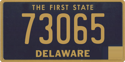 DE license plate 73065