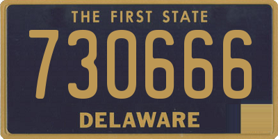 DE license plate 730666