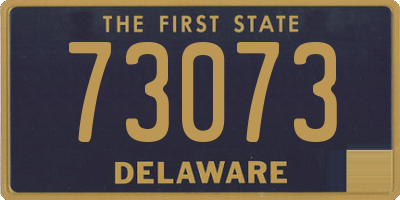 DE license plate 73073