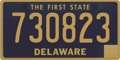 DE license plate 730823