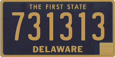 DE license plate 731313